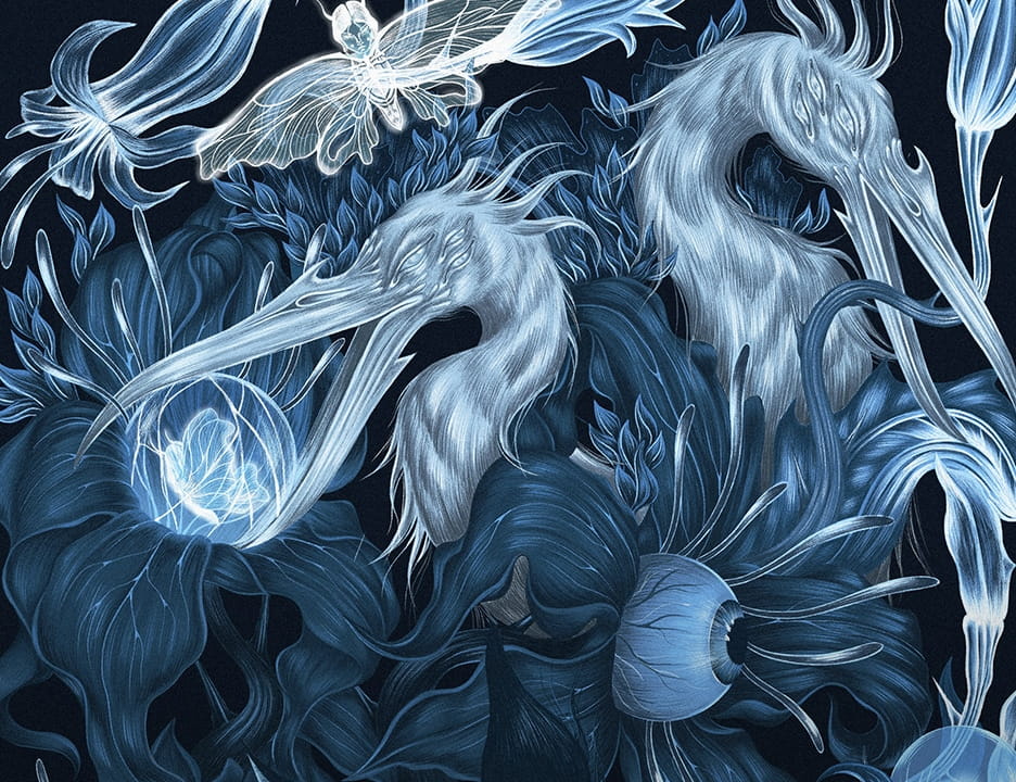 Tajemniczy Świat Medicine